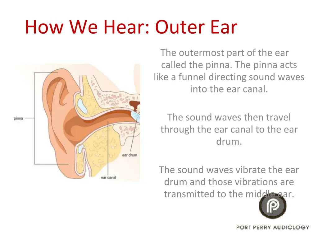 how we hear outer ear