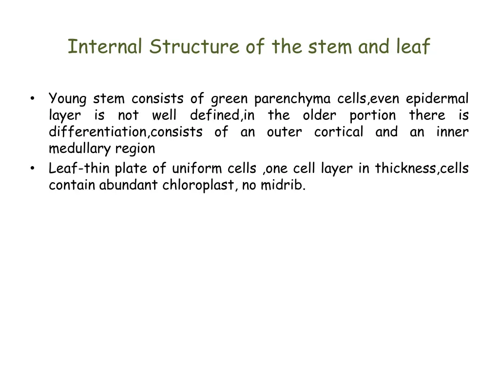 internal structure of the stem and leaf