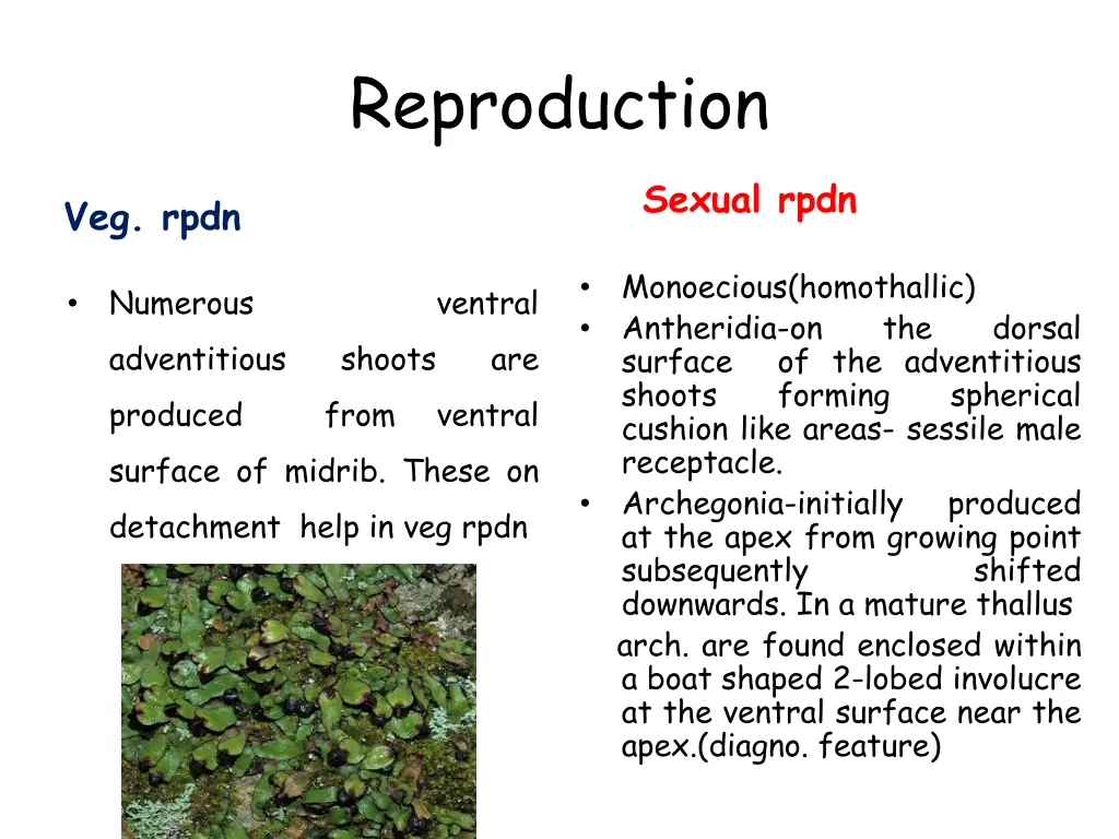 reproduction