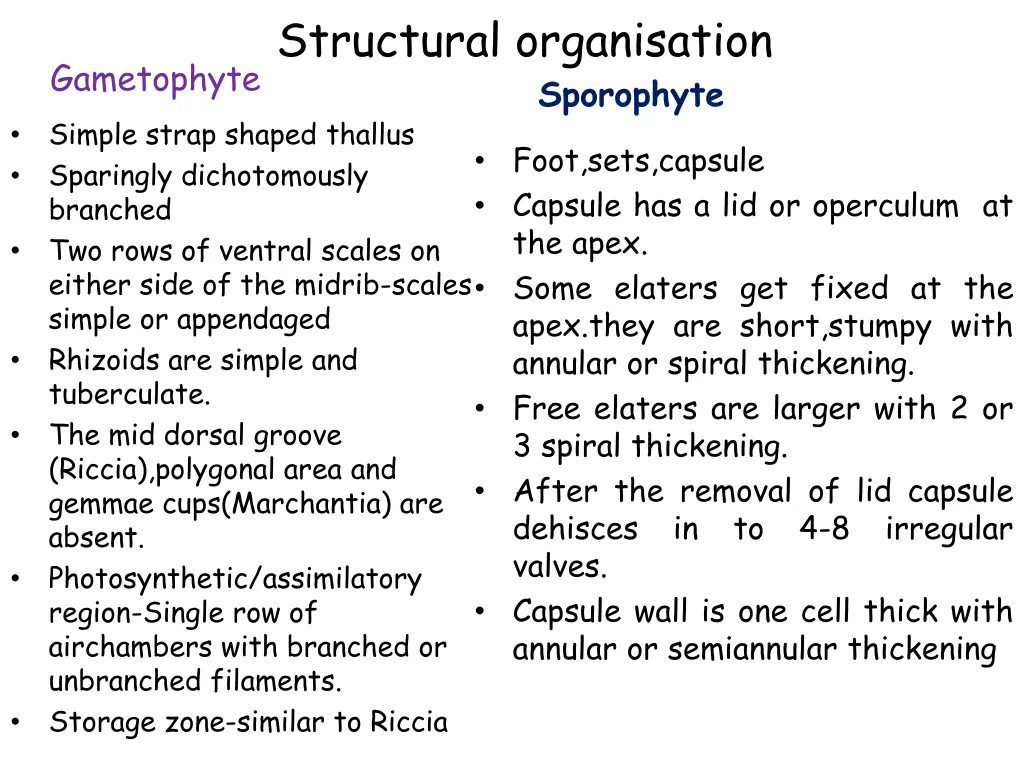 structural organisation