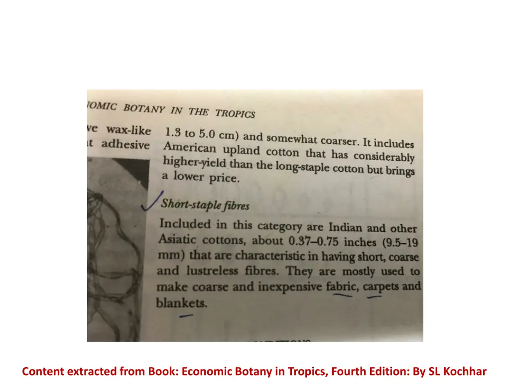 content extracted from book economic botany 1