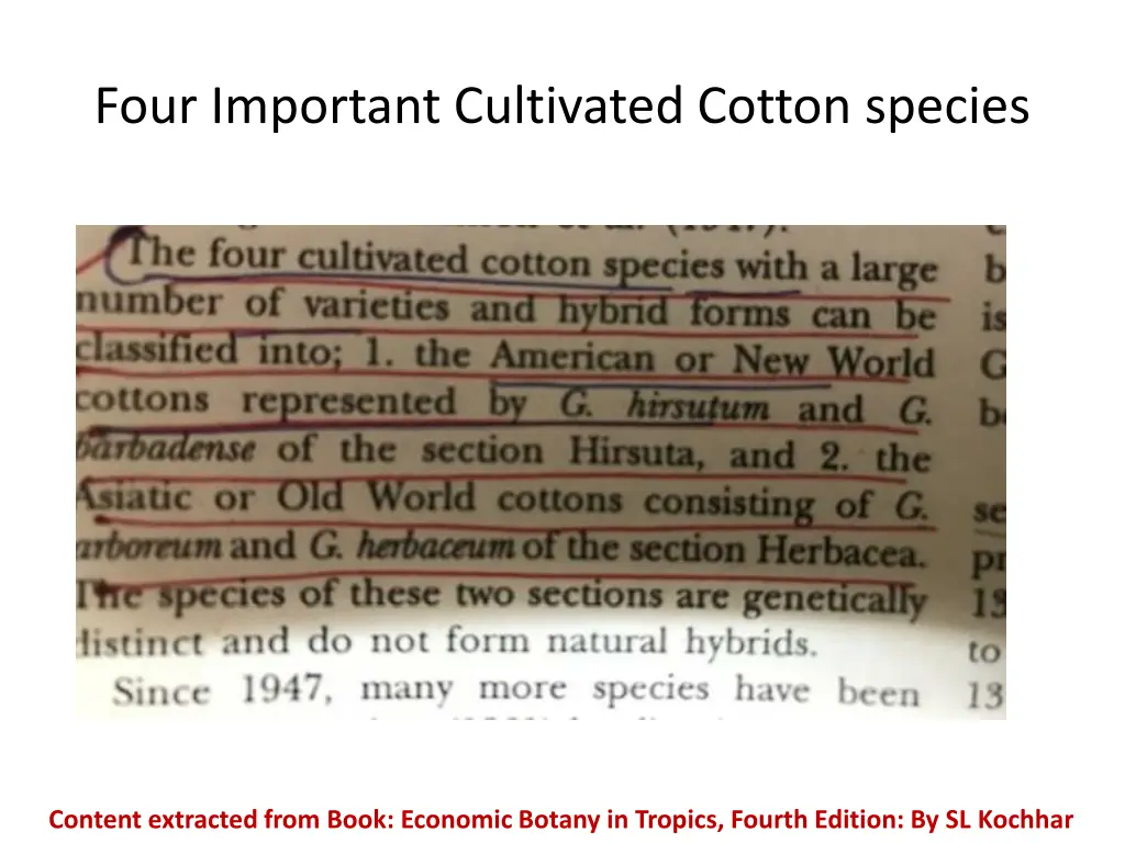 four important cultivated cotton species