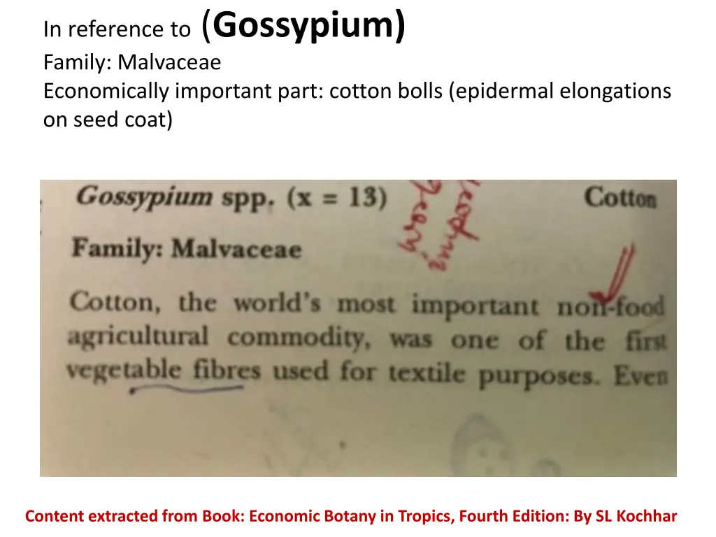 in reference to gossypium family malvaceae