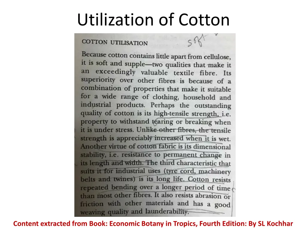 utilization of cotton 1