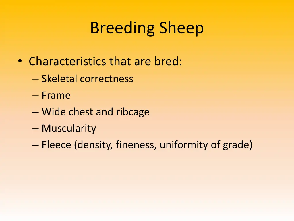 breeding sheep