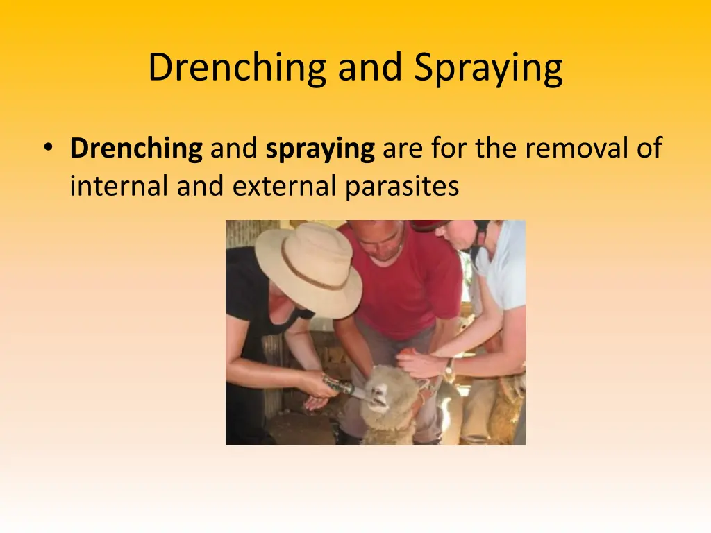 drenching and spraying