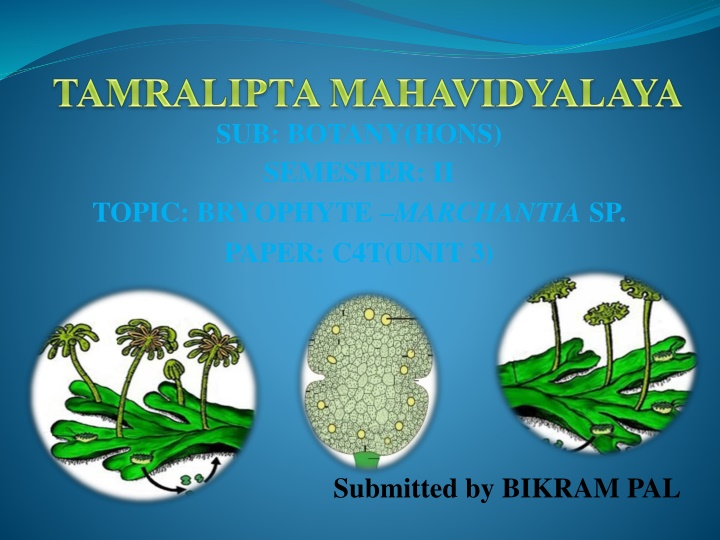 sub botany hons semester ii topic bryophyte