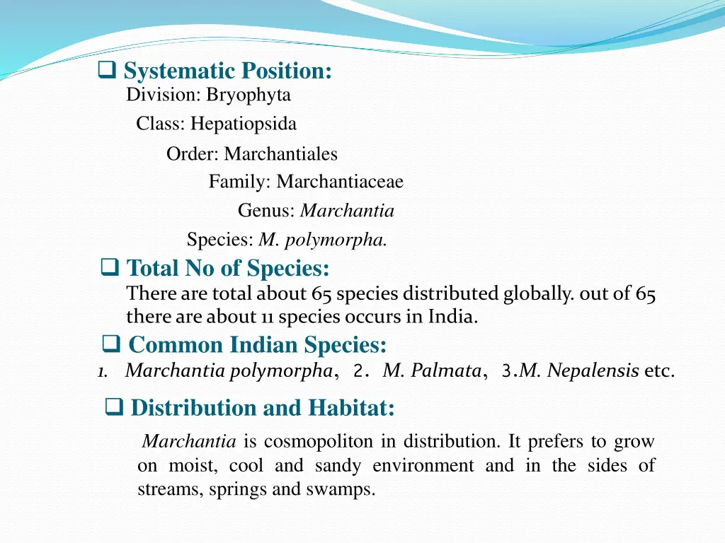 systematic position division bryophyta class