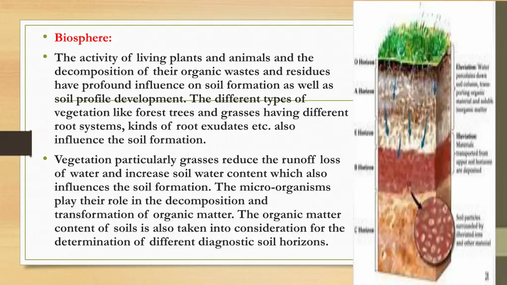 biosphere the activity of living plants