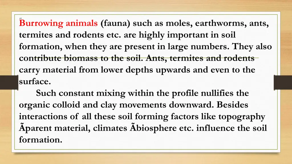 burrowing animals fauna such as moles earthworms