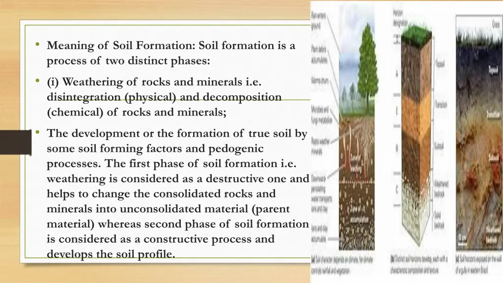 meaning of soil formation soil formation