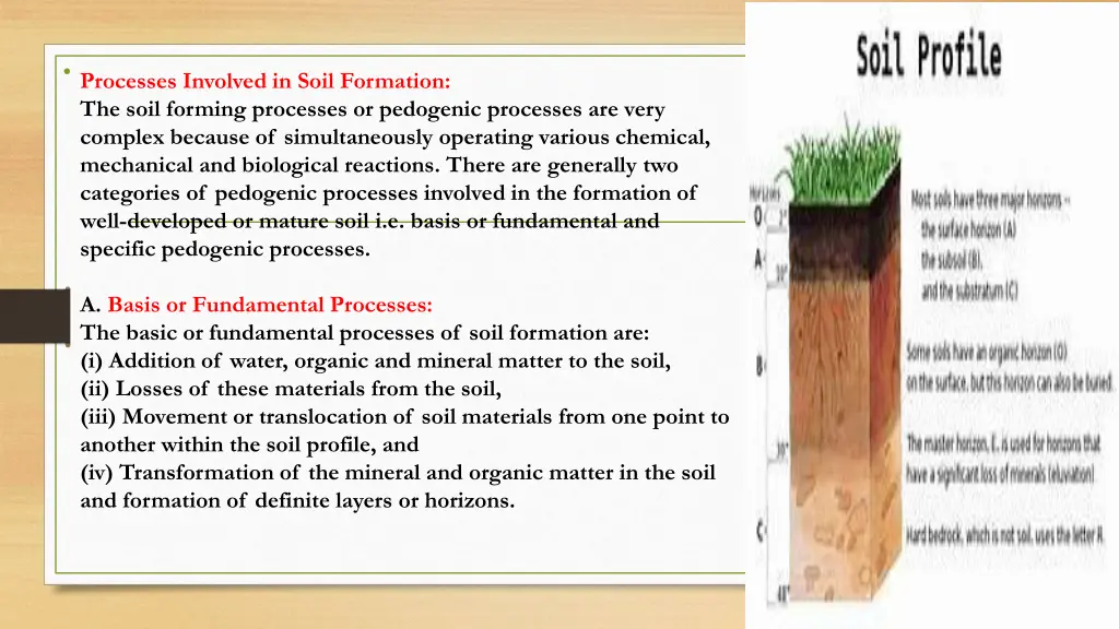 processes involved in soil formation the soil