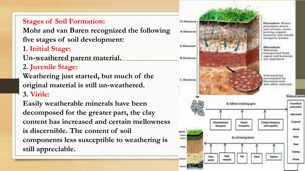 stages of soil formation mohr and van baren