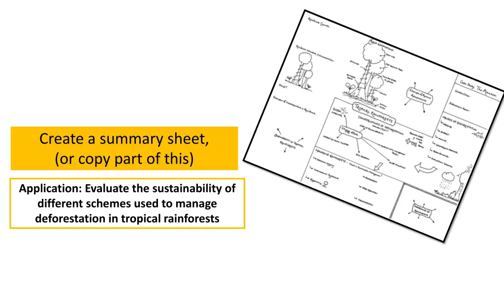 create a summary sheet or copy part of this