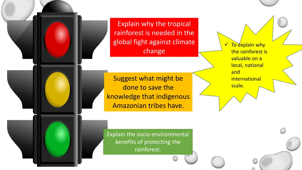 explain why the tropical rainforest is needed