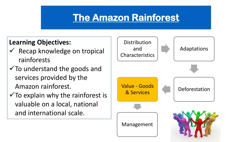 the amazon rainforest the amazon rainforest