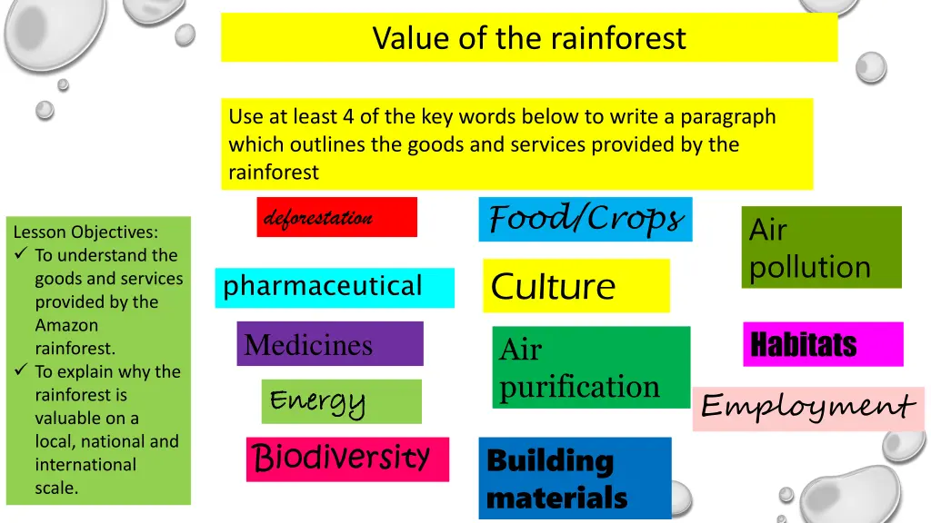 value of the rainforest