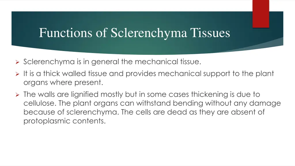 functions of sclerenchyma tissues