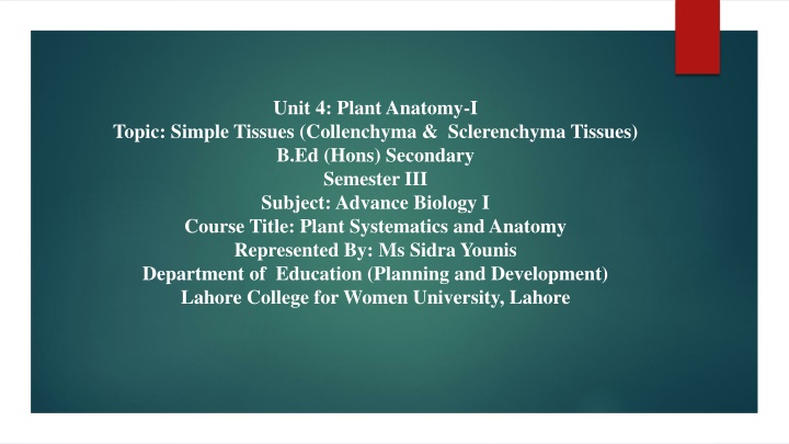 unit 4 plant anatomy i