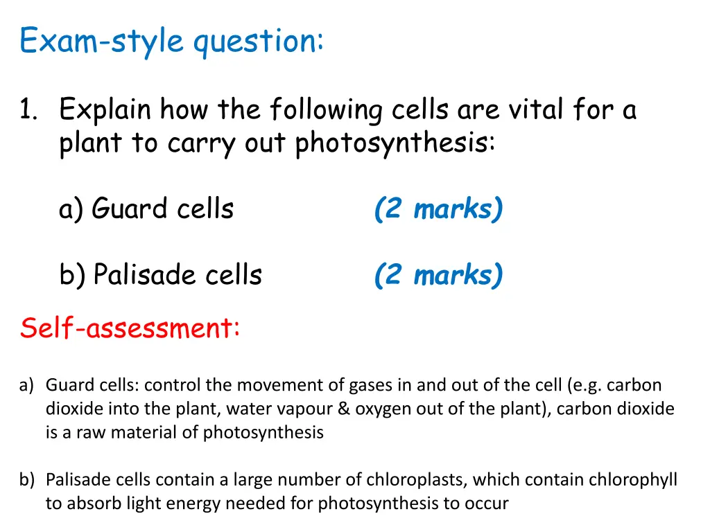 exam style question