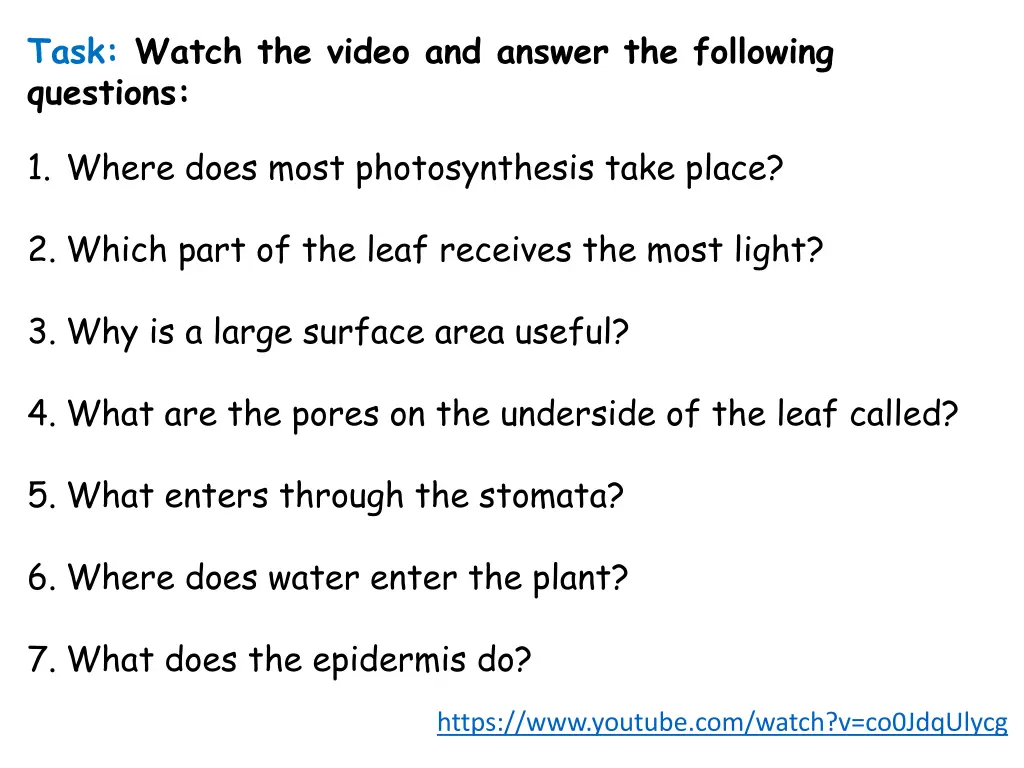 task watch the video and answer the following