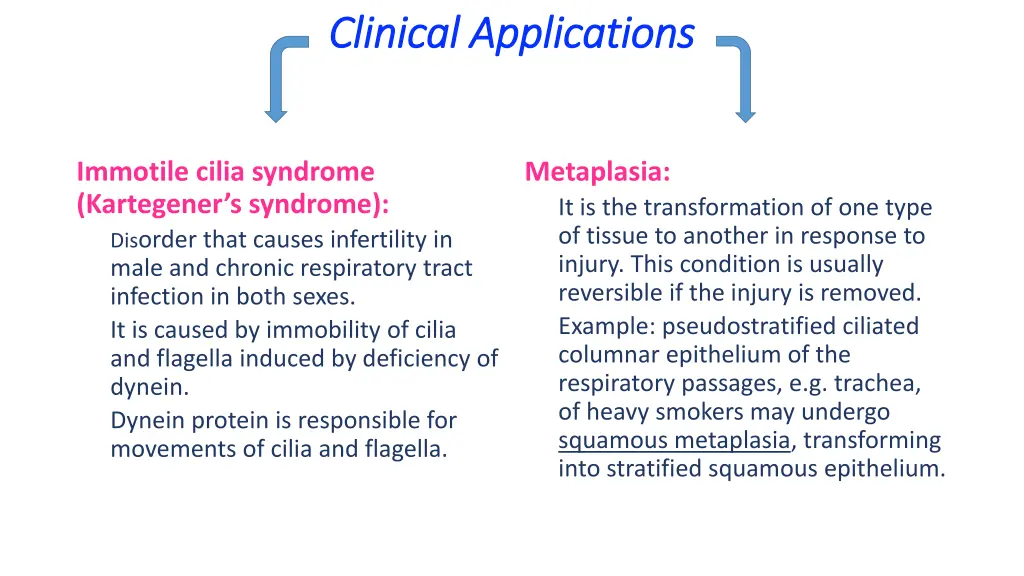 clinical applications clinical applications