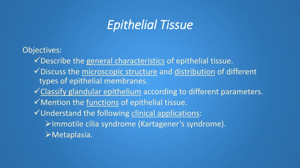 epithelial tissue epithelial tissue