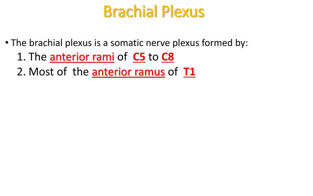 brachial plexus brachial plexus 1