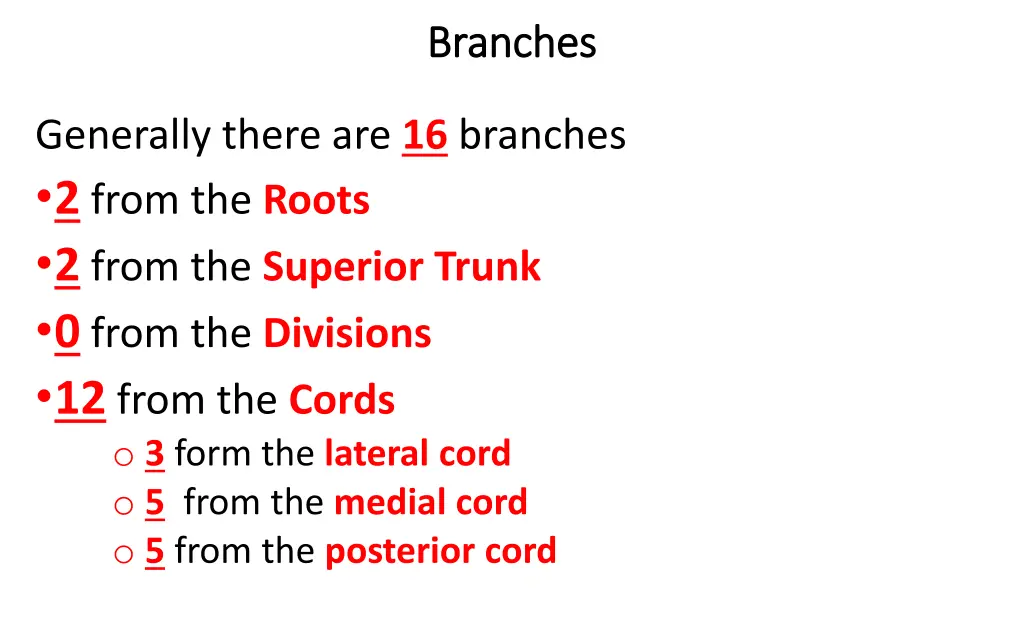 branches branches