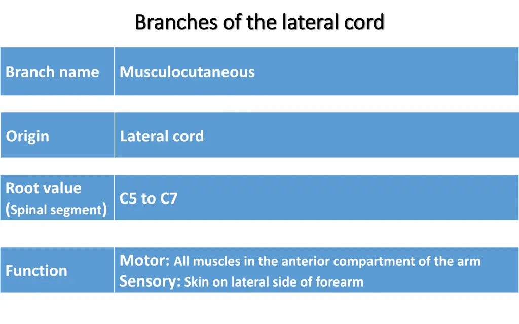 branches of the lateral cord branches 1