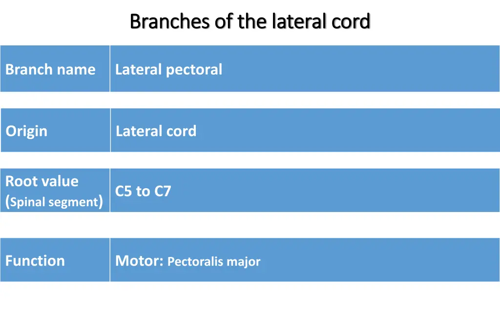 branches of the lateral cord branches