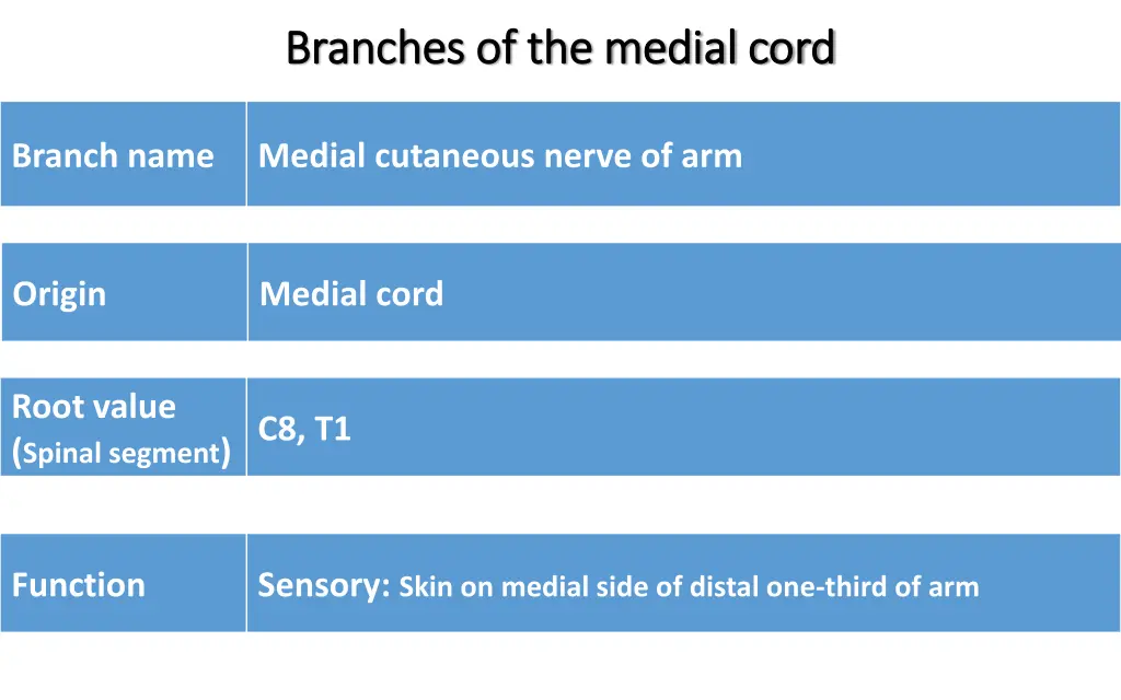 branches of the medial cord branches 1