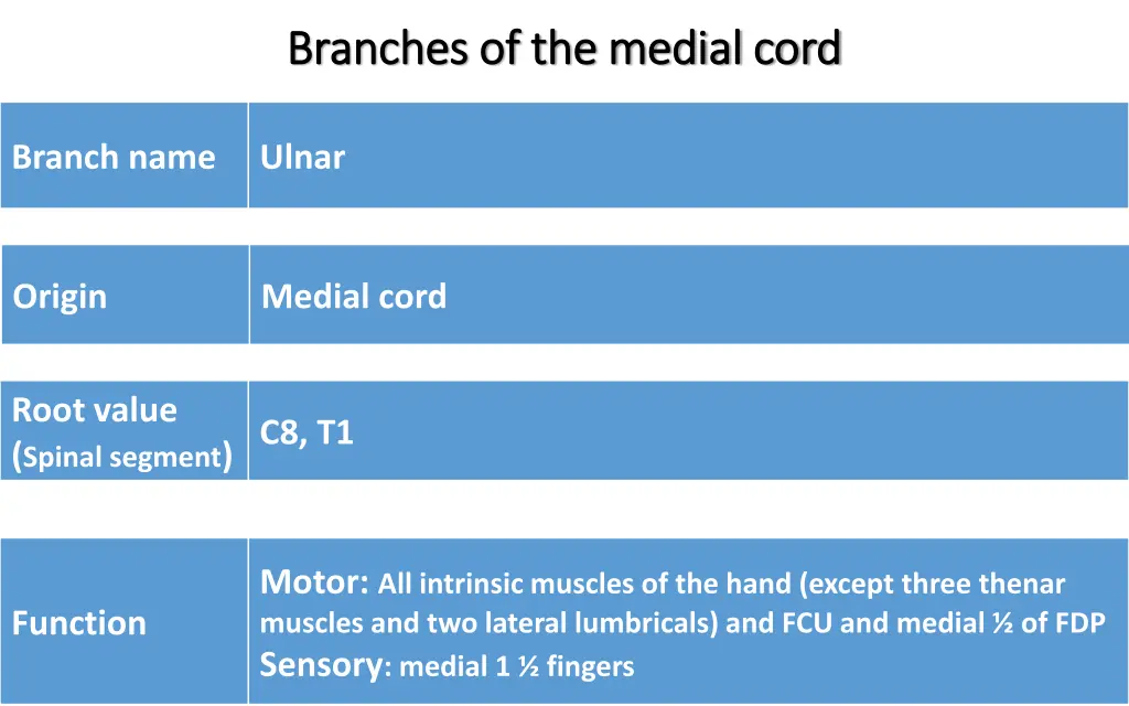 branches of the medial cord branches 3