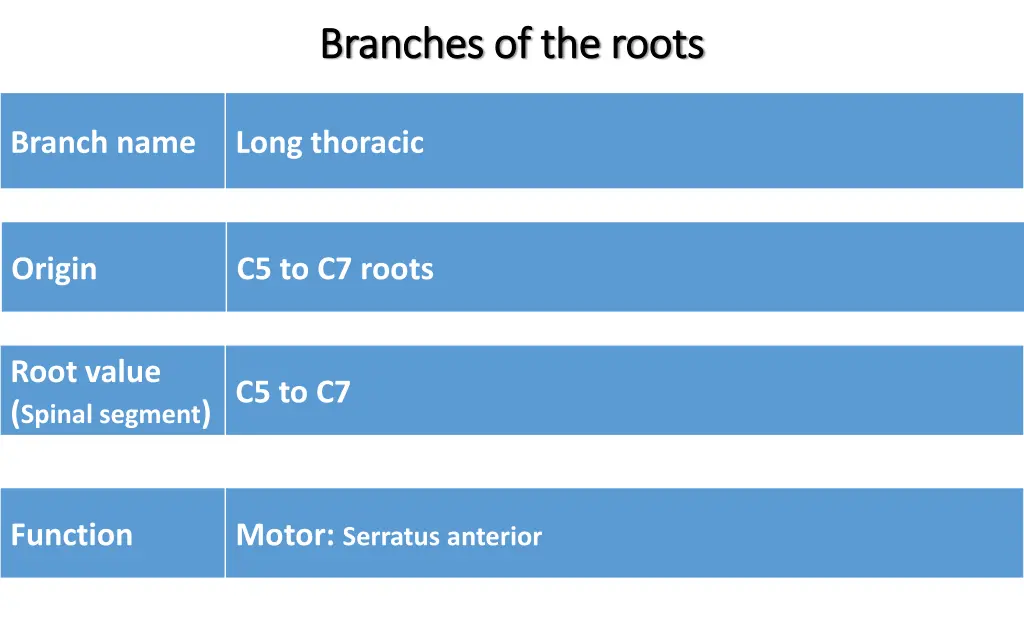 branches of the roots branches of the roots 1