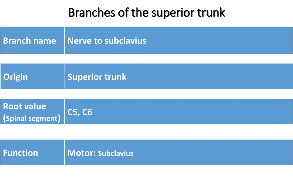 branches of the superior trunk branches 1