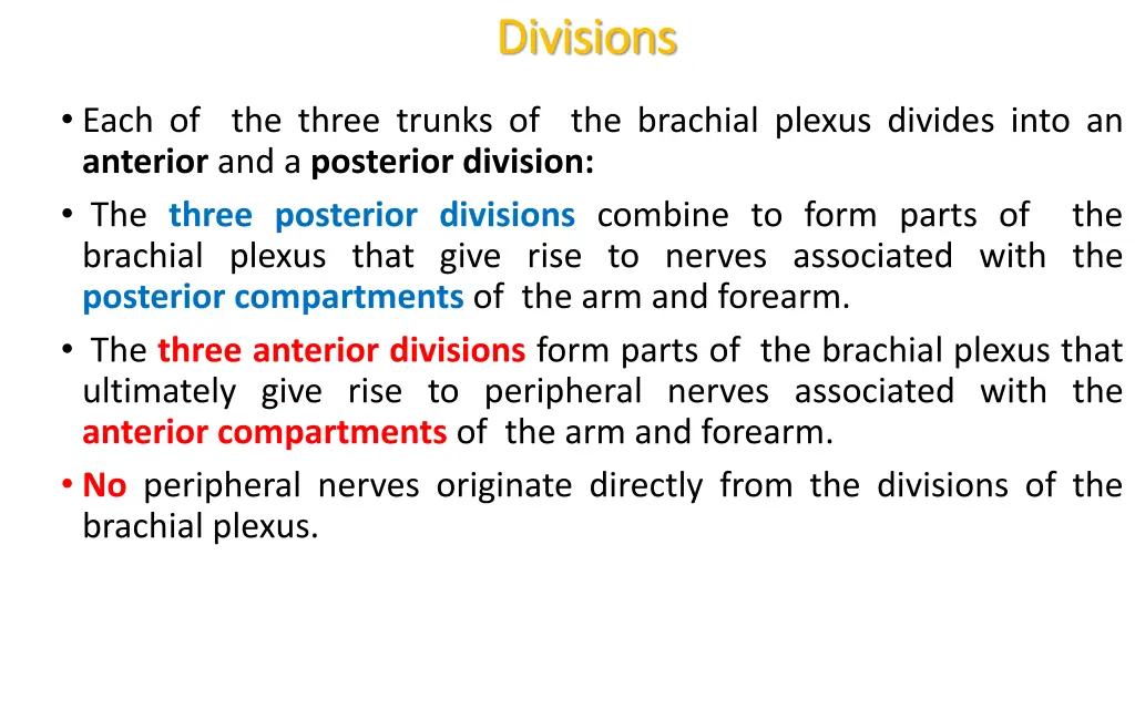 divisions divisions