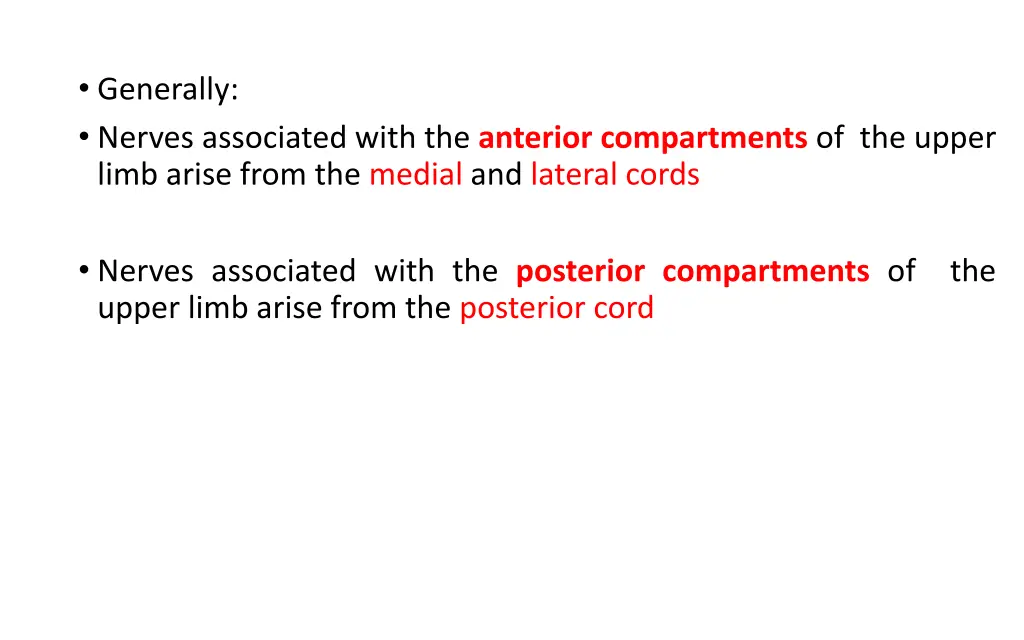 generally nerves associated with the anterior