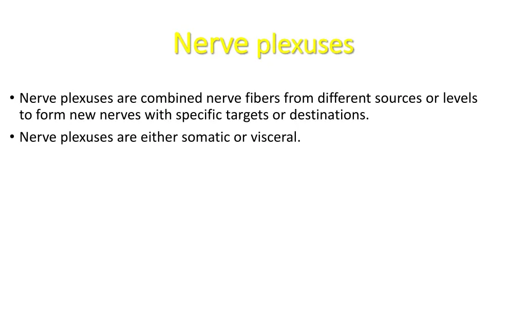 nerve nerve plexuses plexuses