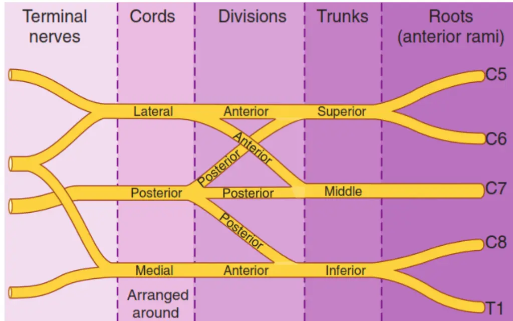 slide11