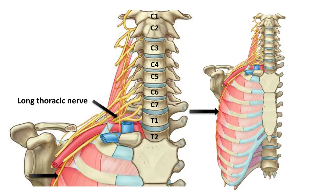 slide26