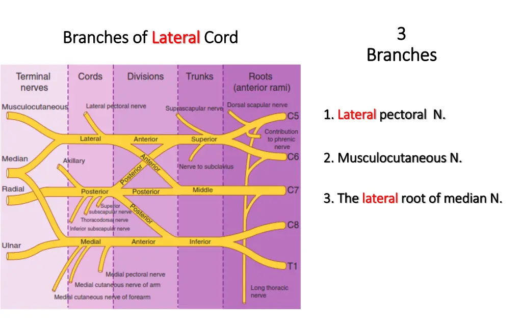 slide31