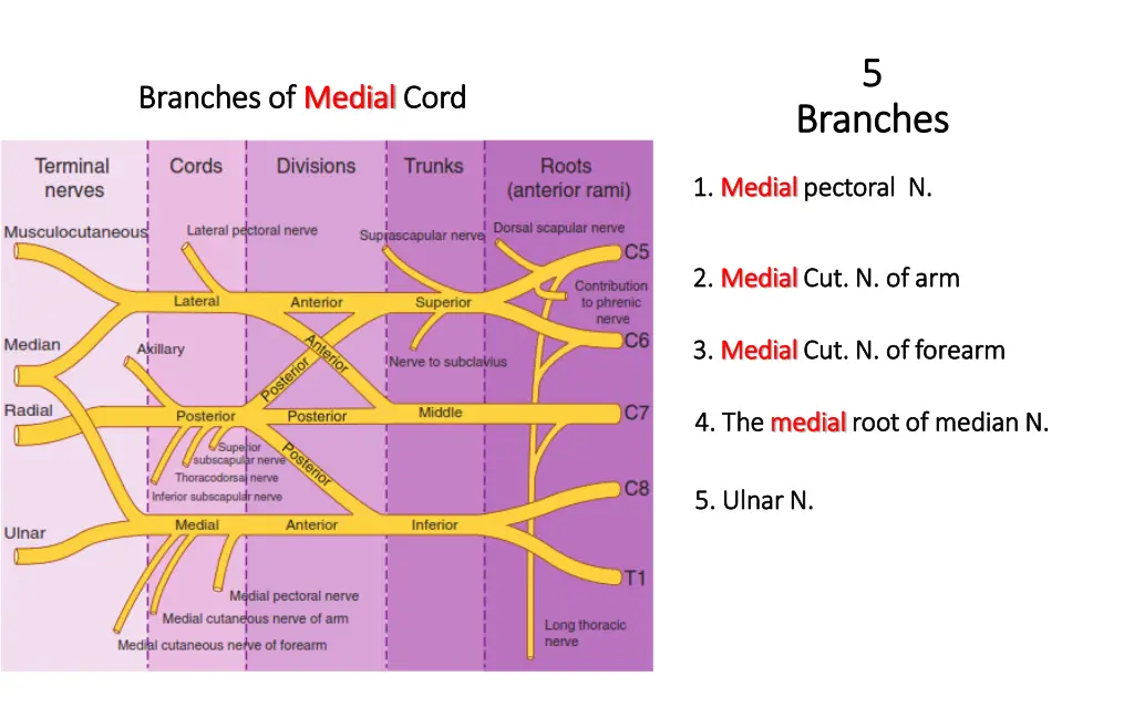 slide33