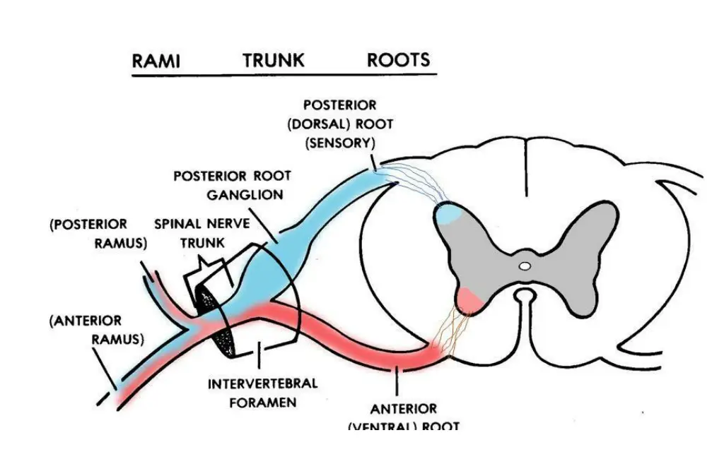 slide5