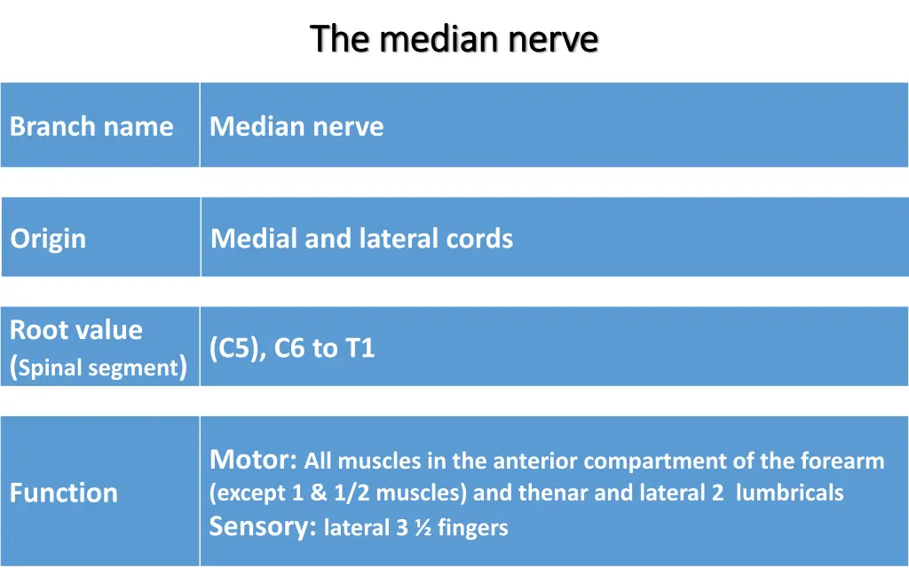 the median nerve the median nerve