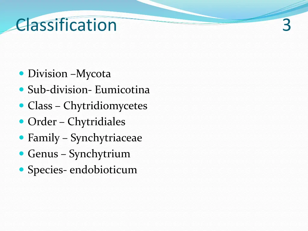 classification 3