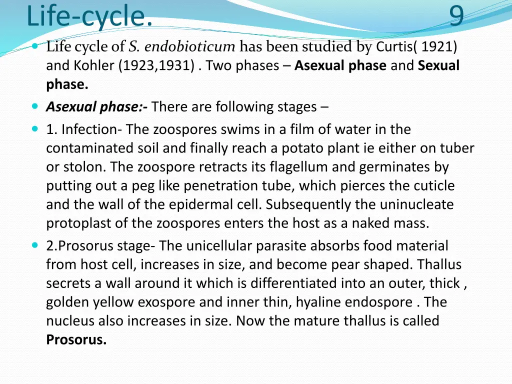 life cycle 9 life cycle of s endobioticum