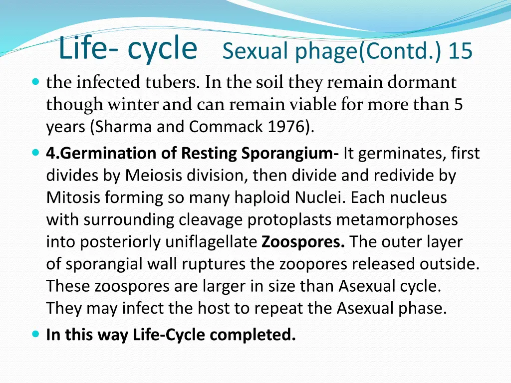 life cycle sexual phage contd 15 the infected