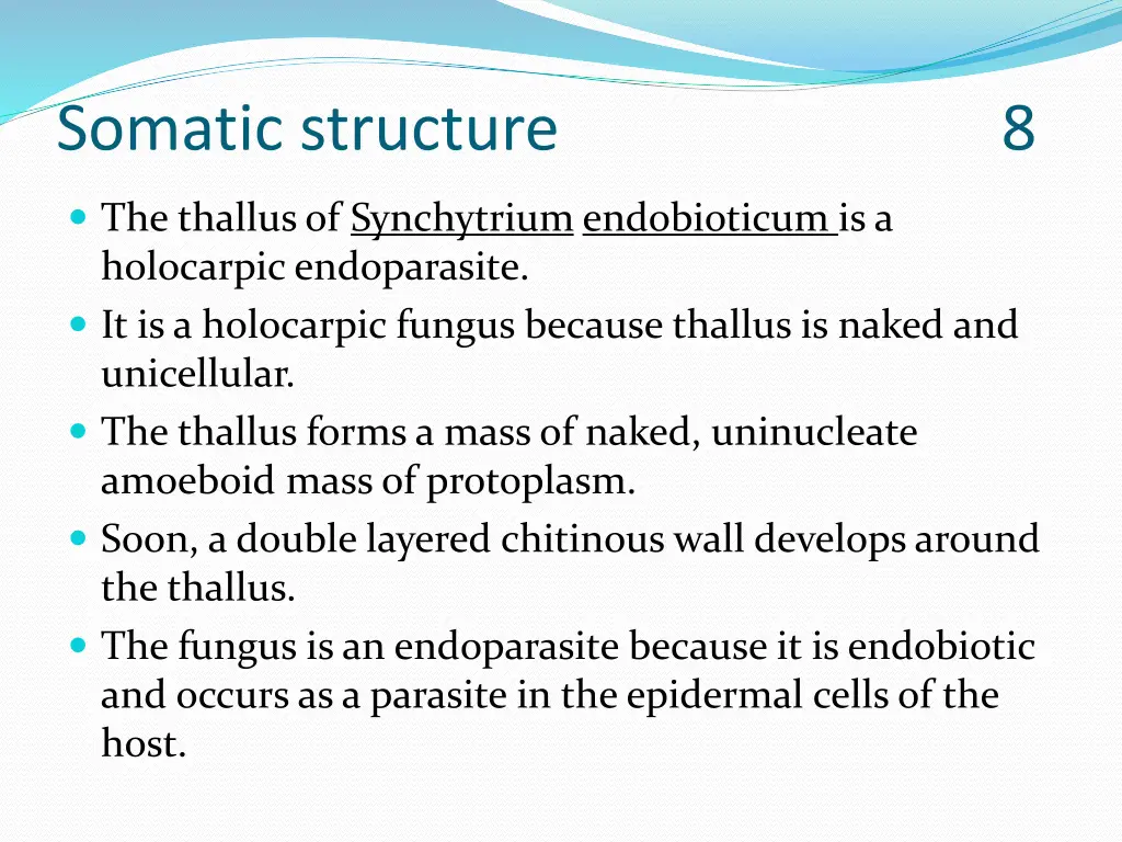 somatic structure 8