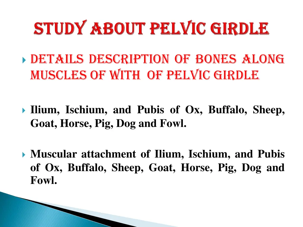 details description of bones along muscles