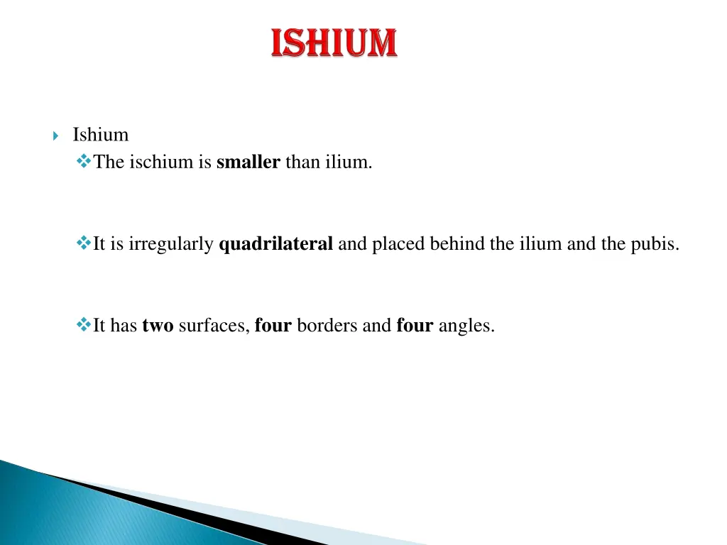 ishium the ischium is smaller than ilium